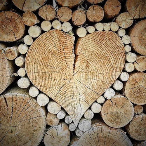 wood