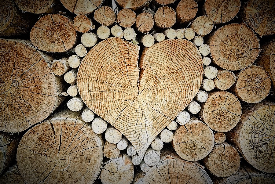 wood